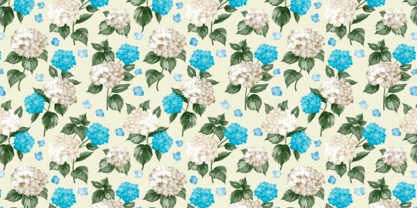 Spring Breeze Hydrangea