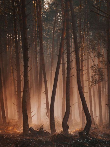 Transition of the Seasons