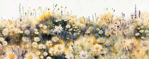 Quiet Daisies Meadow Yellow