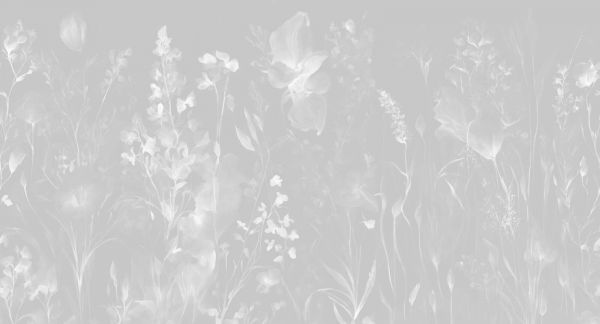 The softness of heart - light grey