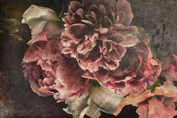 Dark romantic peony abundance