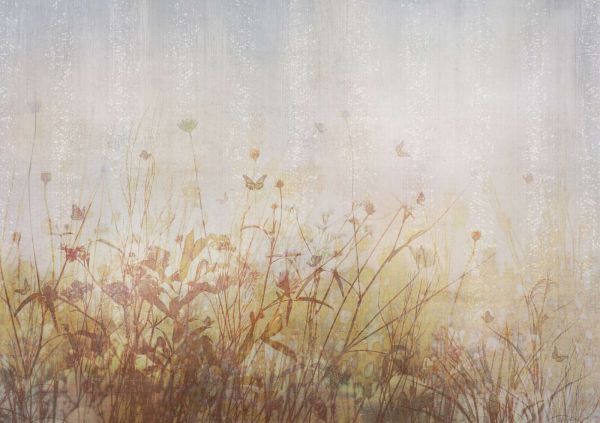 Summer meadow with butterflies