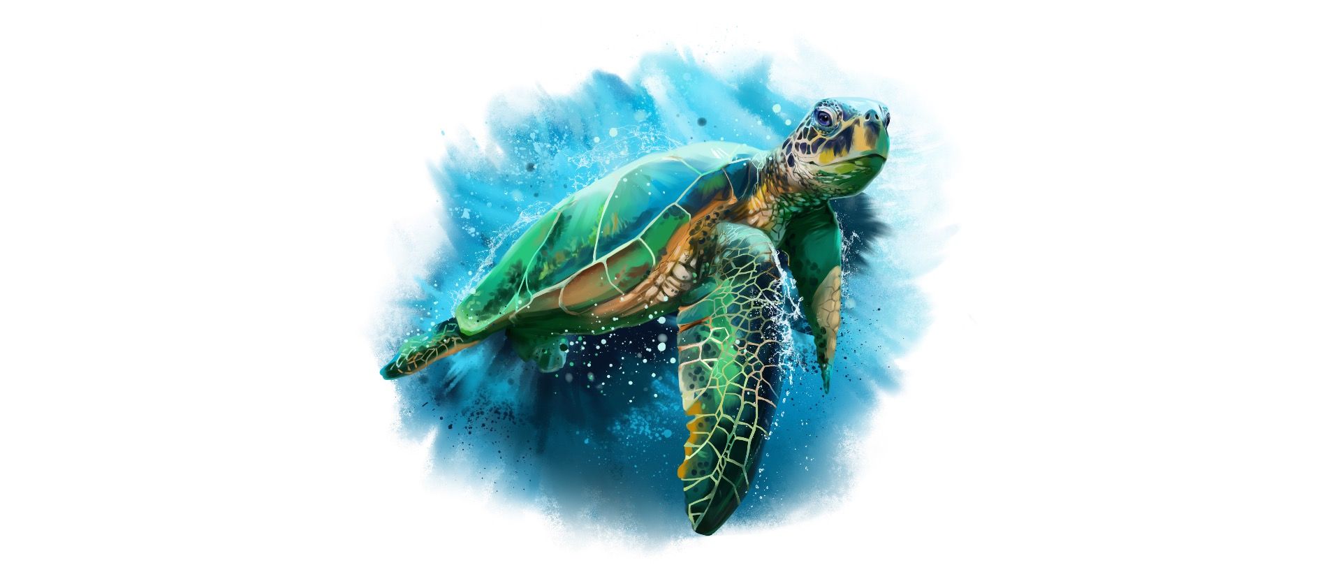 Signed sea turtle - Photo Wallpaper