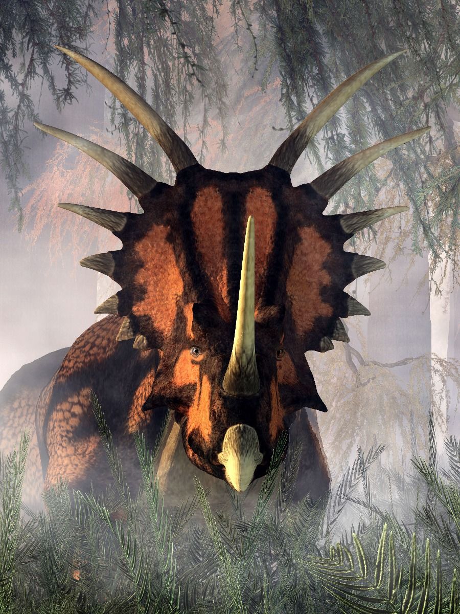 Styracosaurus Styracosaurus