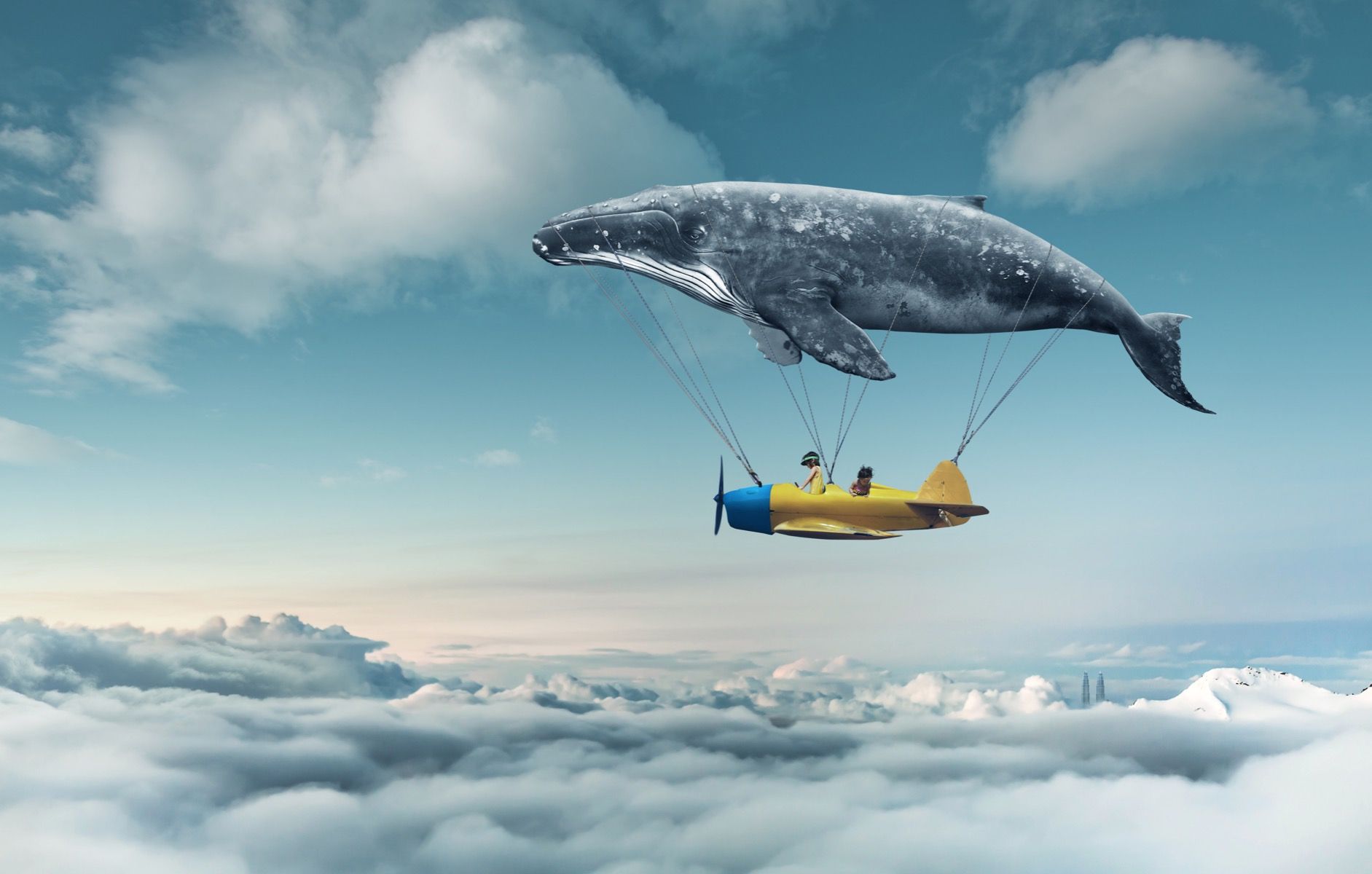 Flying whale