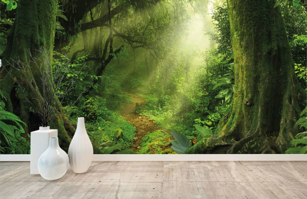 Jungle with sunbeams - Photo Wallpaper Jungle with sunbeams - Photo Wallpaper