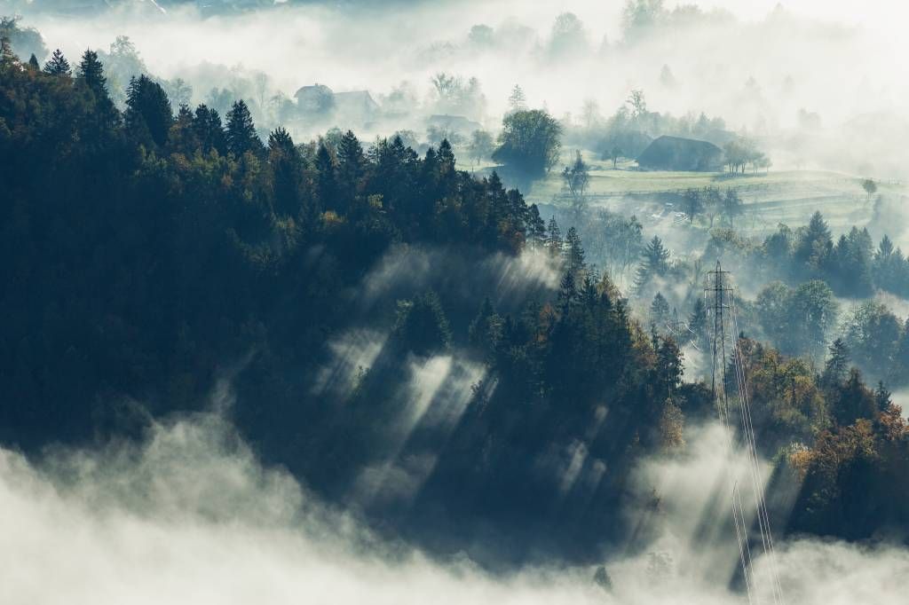 Foggy landscape
