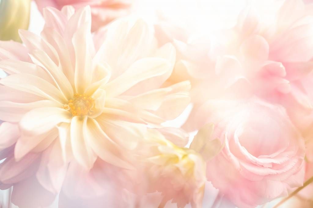 Clear flowers main product photo
