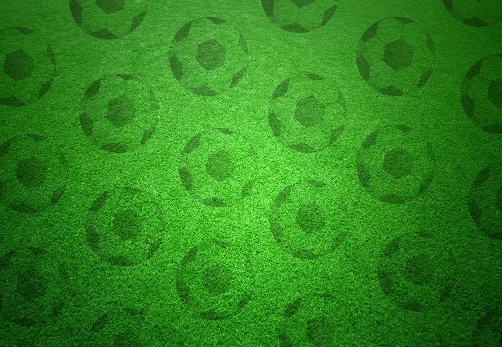 Playing soccer on grass main product photo