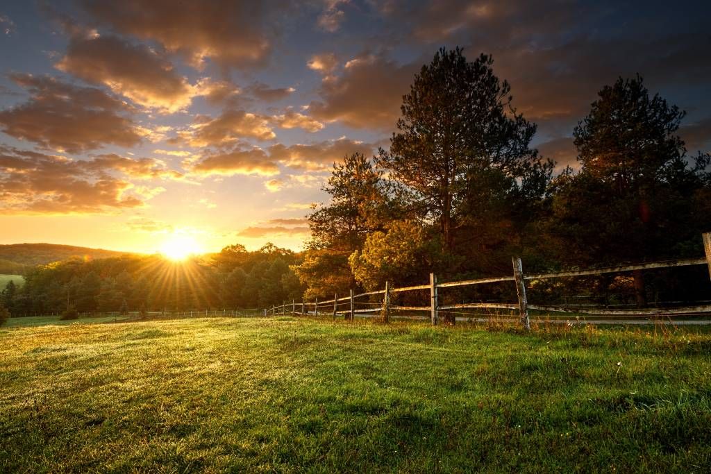Pasture at sunset main product photo