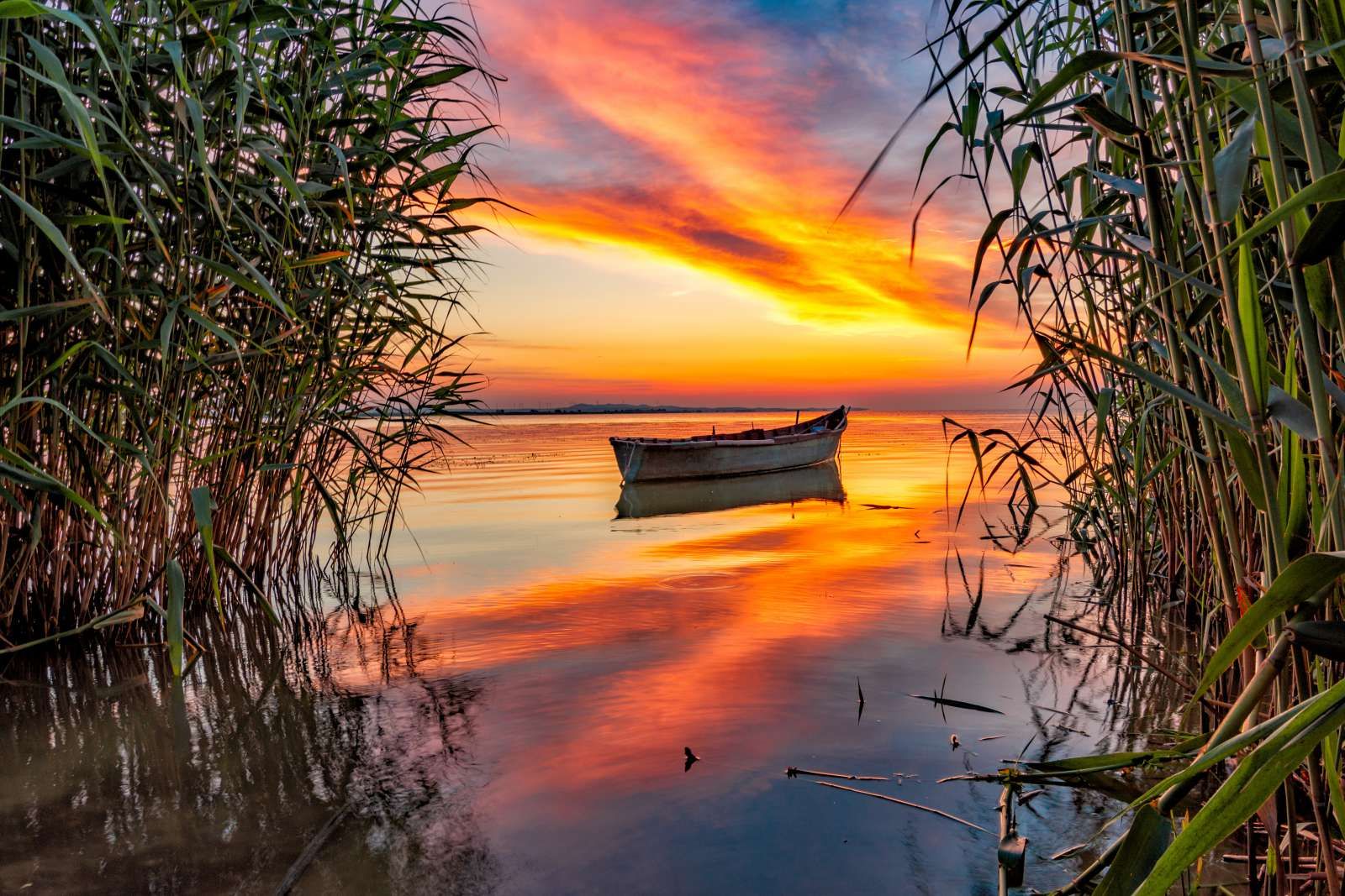 Boot met riet in de avond