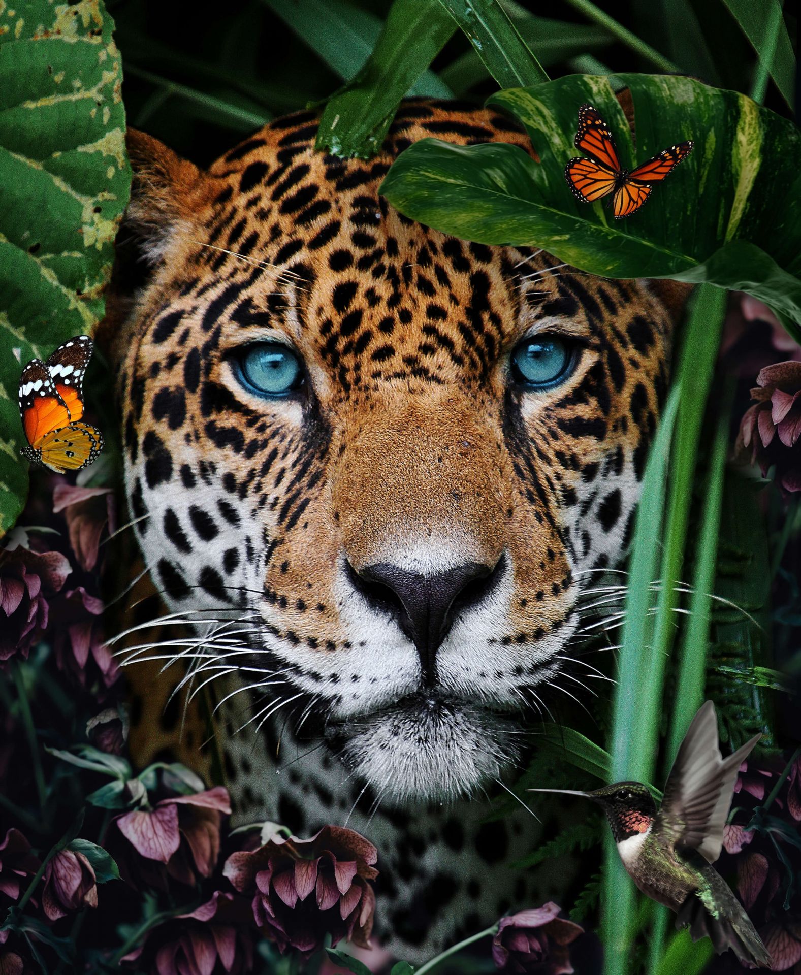 Jungle Leopard - Wallpaper