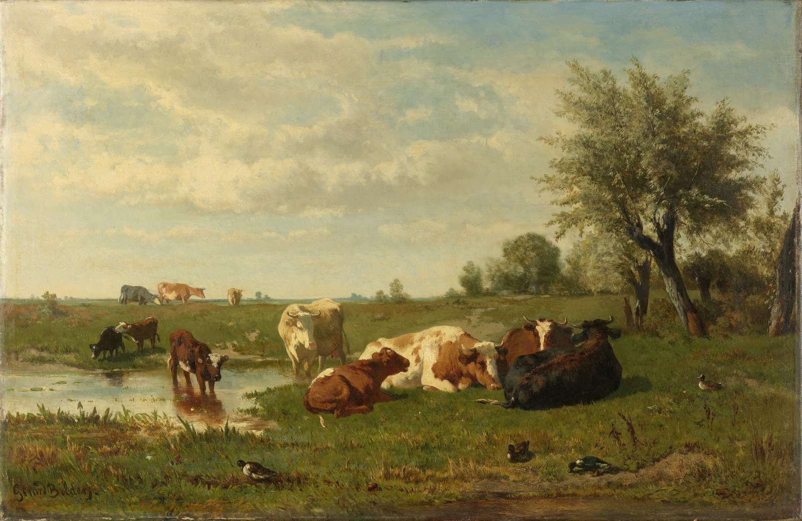 Koeien in de weide