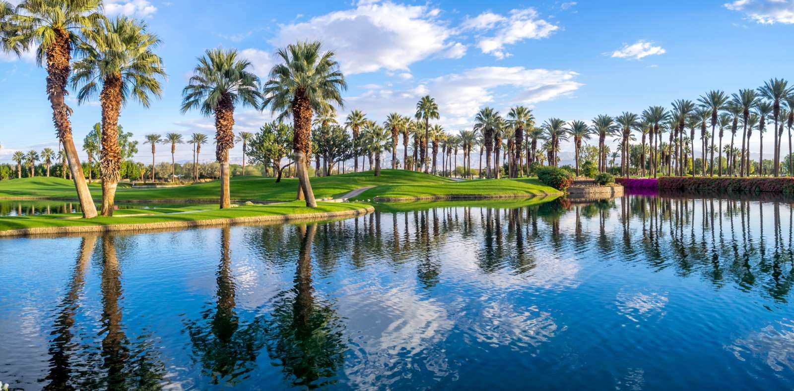 Palmbomen op een golfbaan