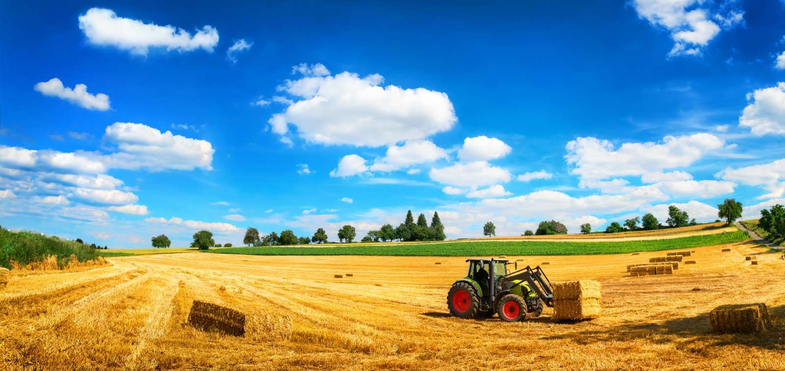 Tractor verplaatst hooibalen