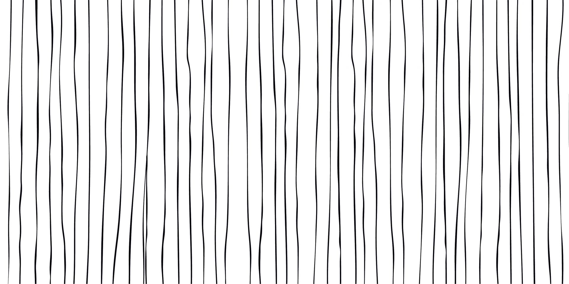 Abstract lines in black and white main product photo