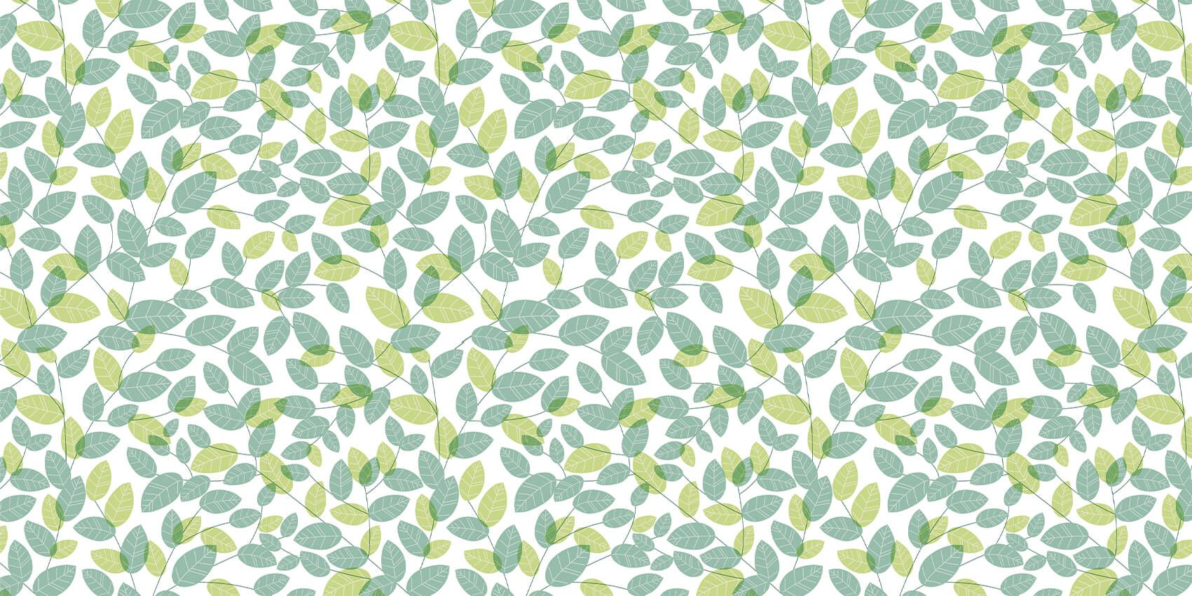 Browse pattern