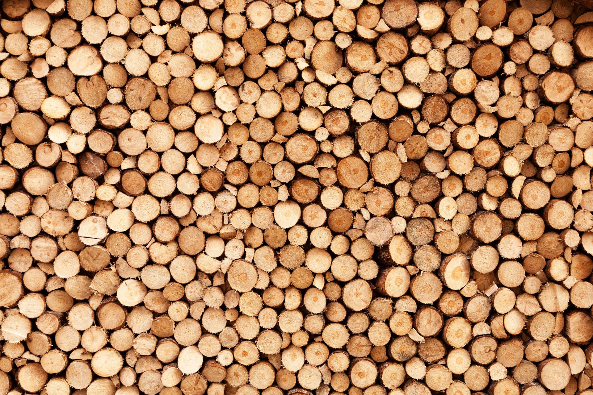 Fire wood main product photo