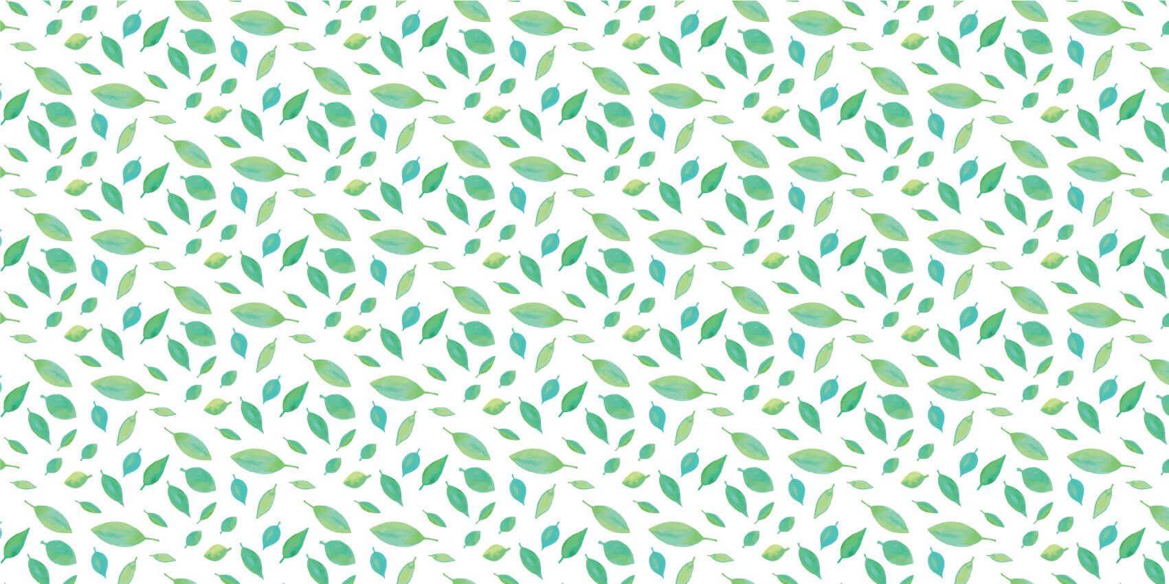 Drawn leaves main product photo