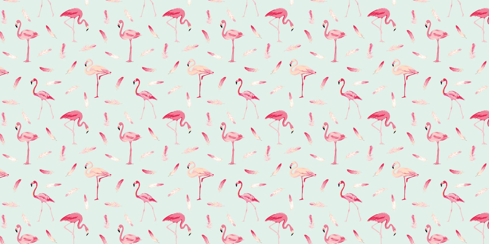 Flamingos main product photo