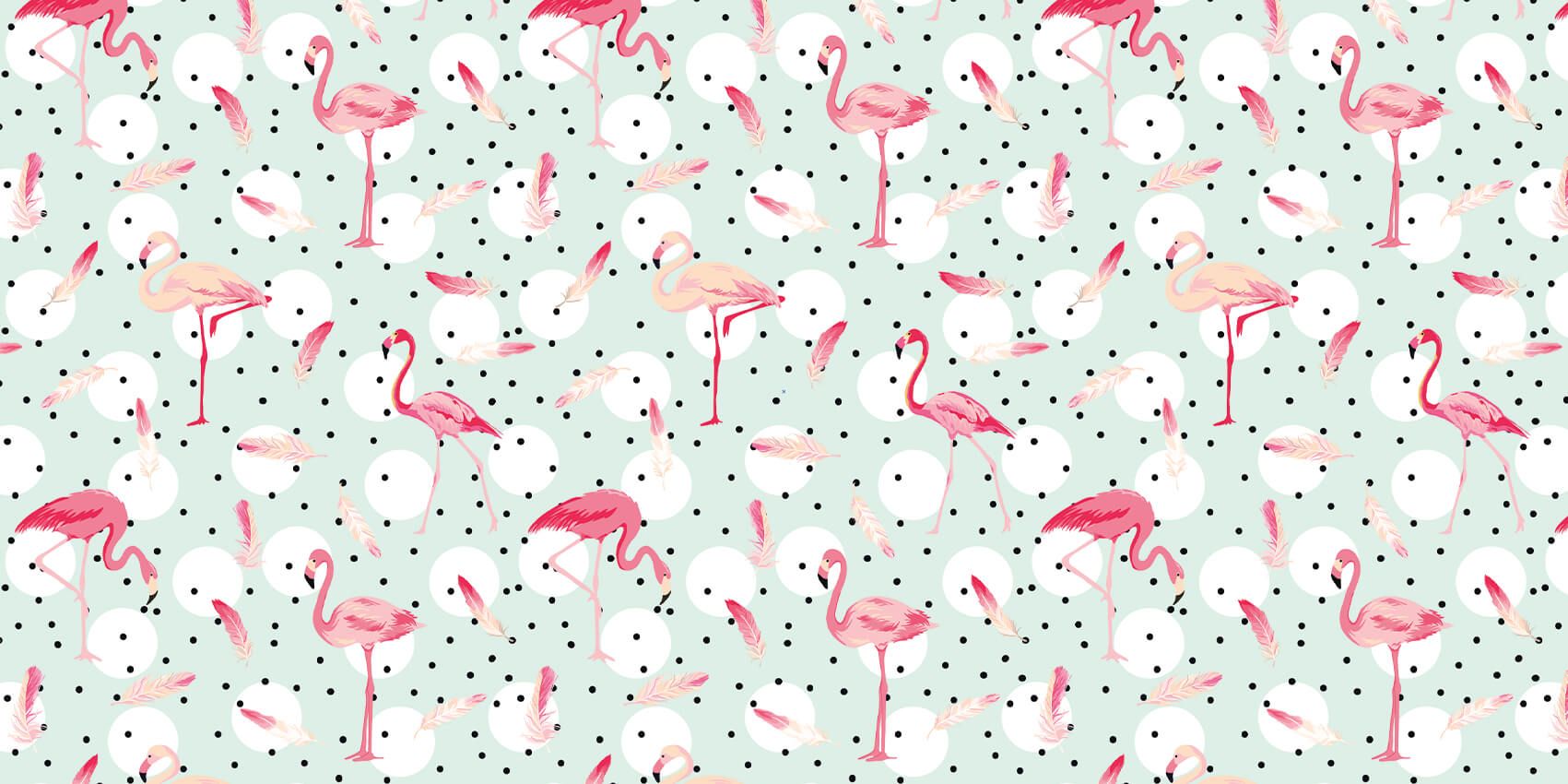 Flamingos and feathers main product photo