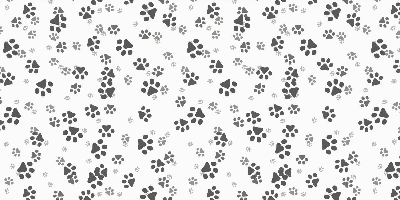 Dog legs main product photo