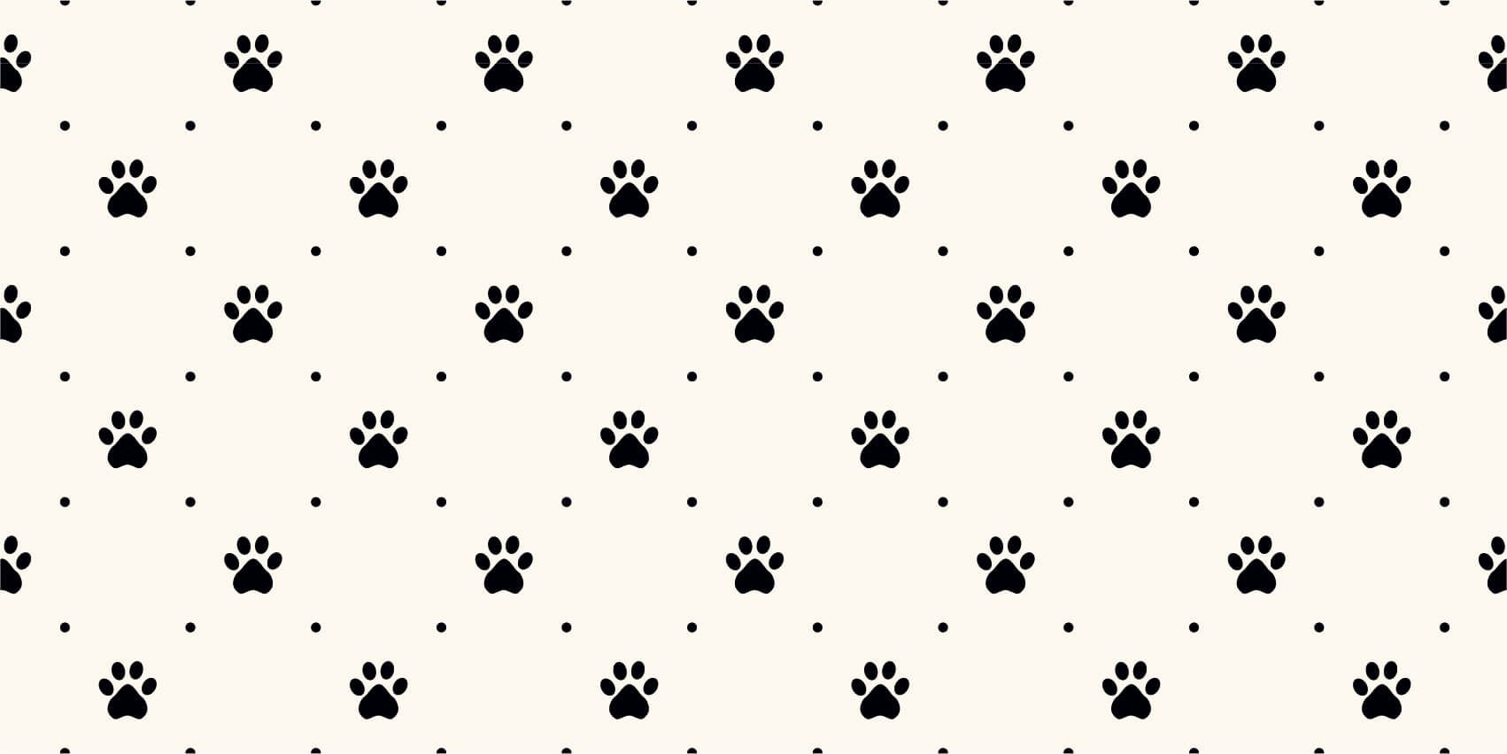Dog feet main product photo