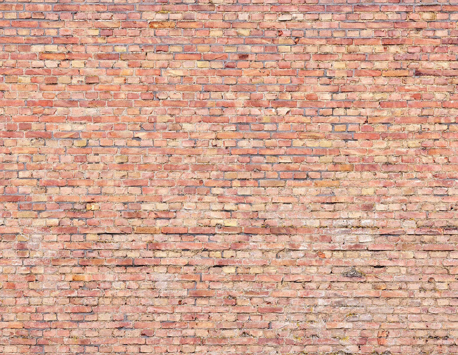 Ancient brick wall main product photo