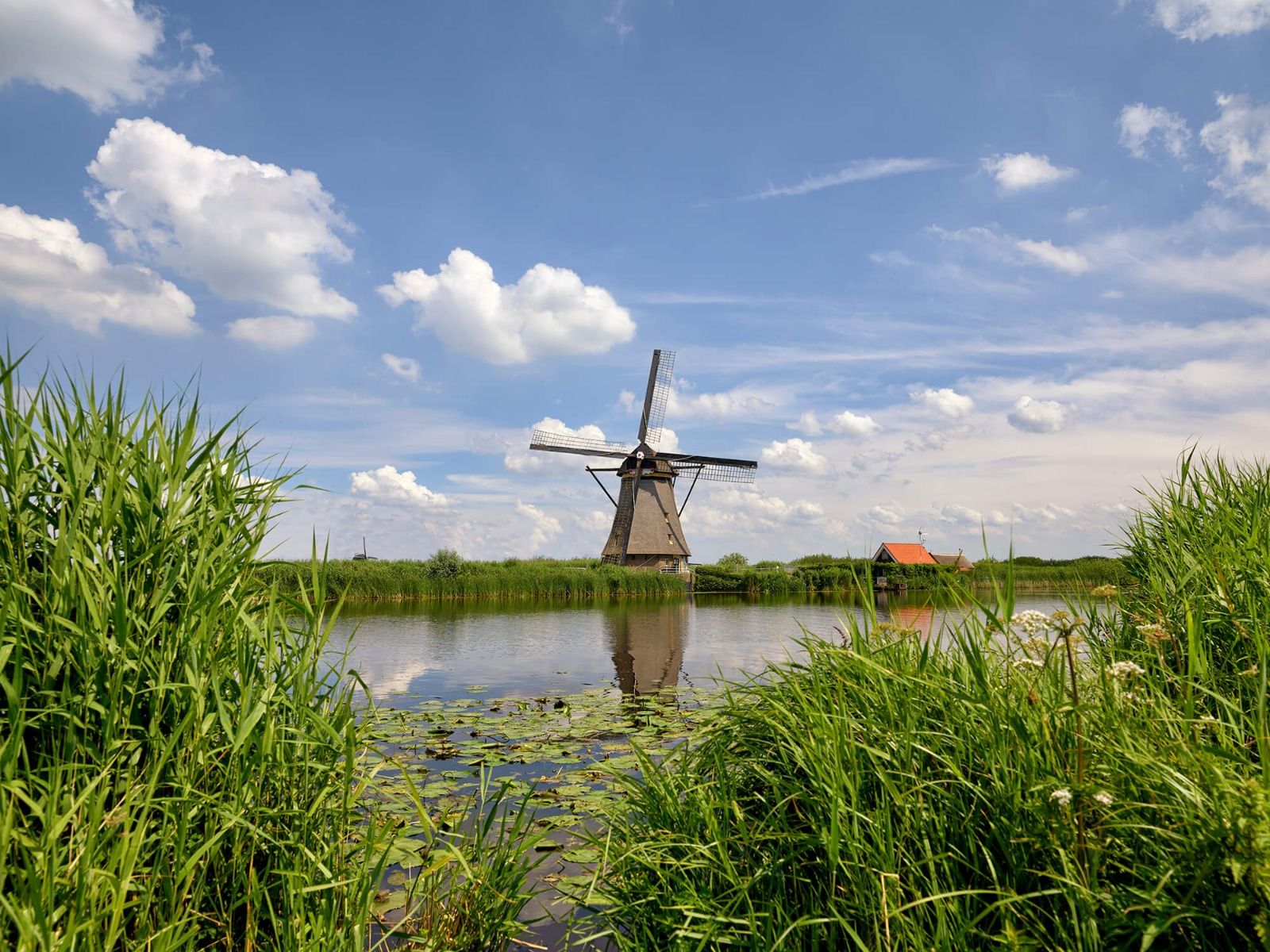 Mill Mill