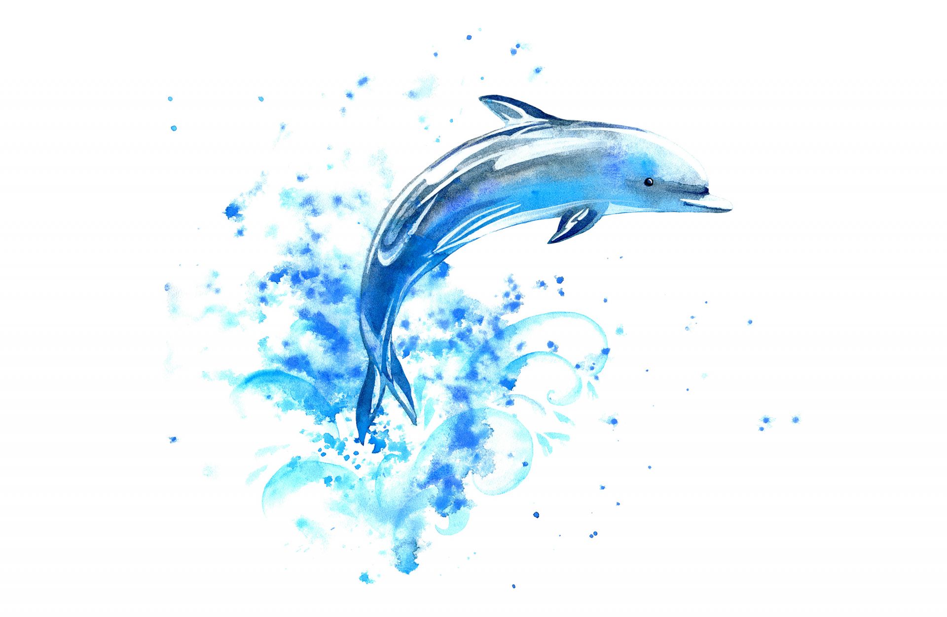 Jumping dolphin