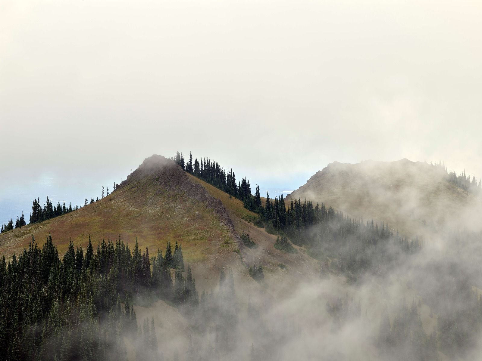Berg in de mist 