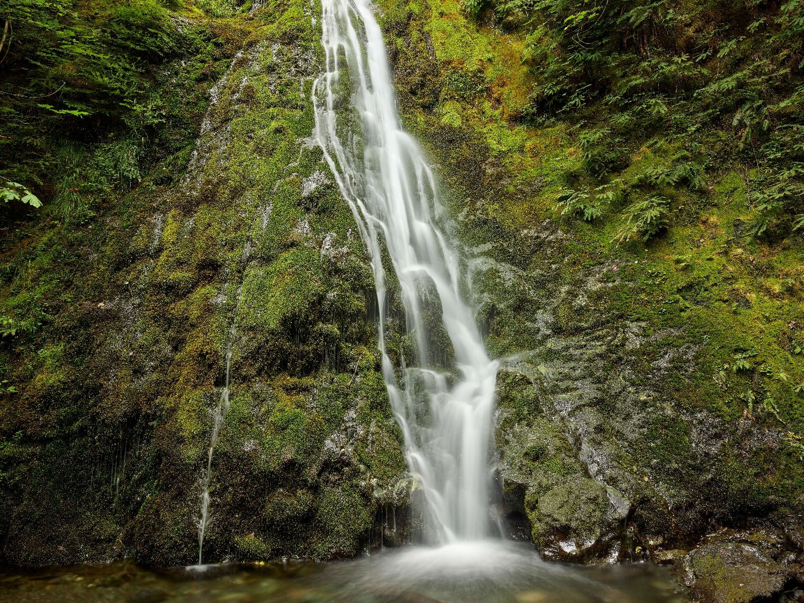 Waterfall with beautiful greenery 