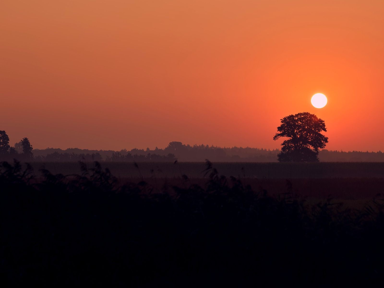Sunrise