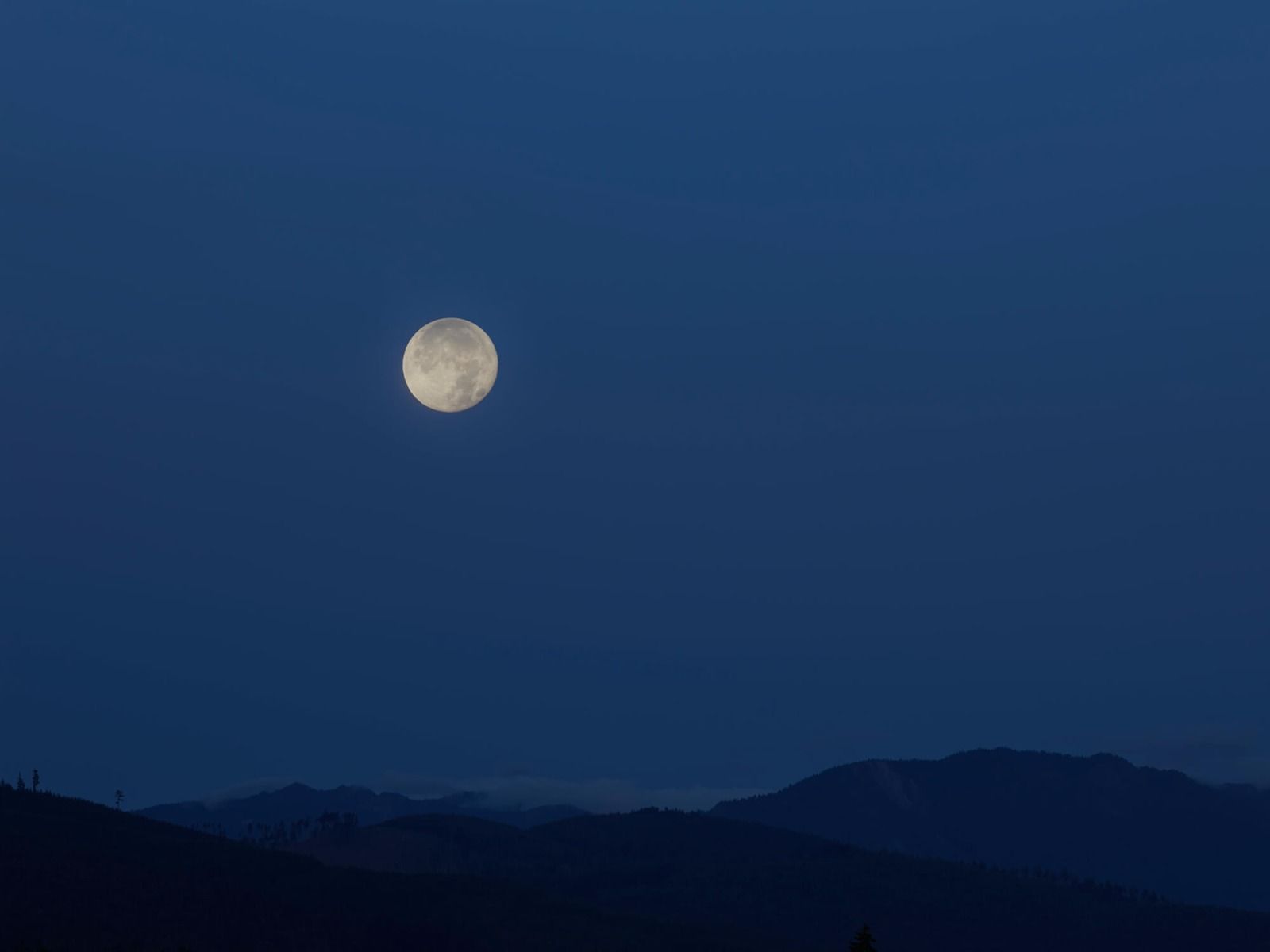 Moon Moon