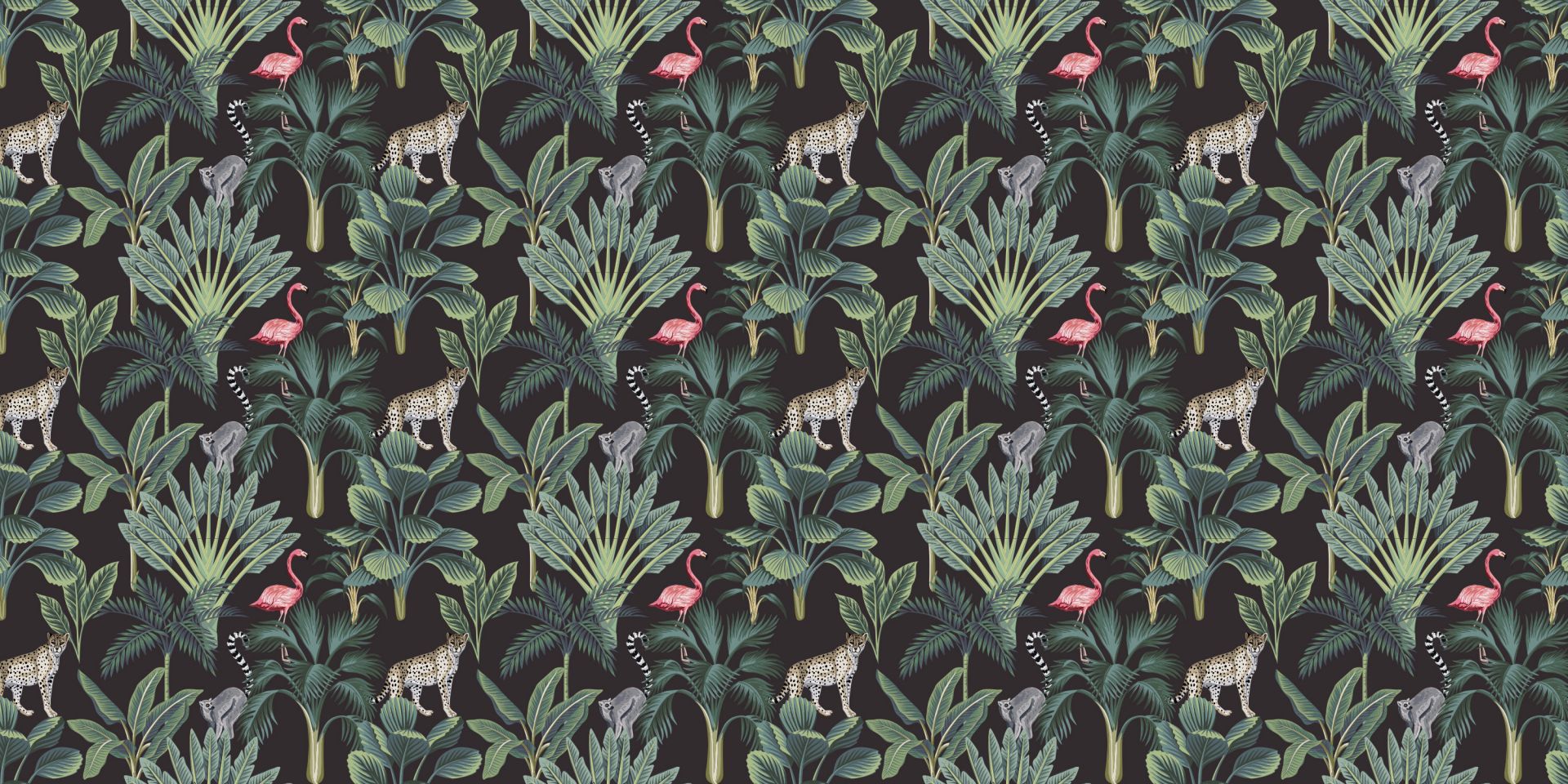 Tropical wild animals Tropical wild animals