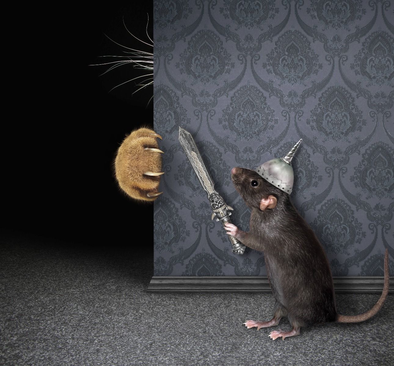 Cat and mouse