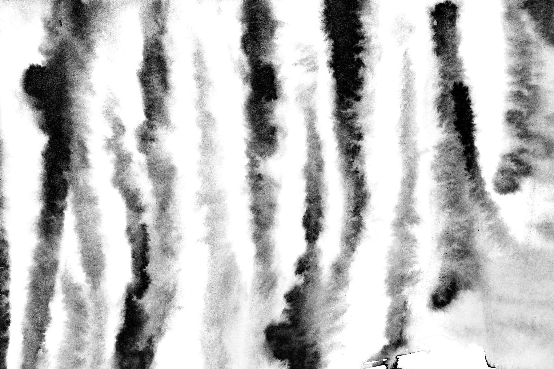 Zebra stripes - Wallpaper