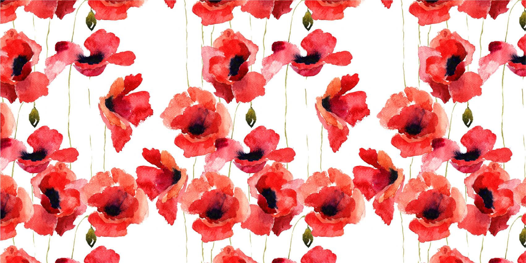 Poppies made of watercolor Poppies made of watercolor