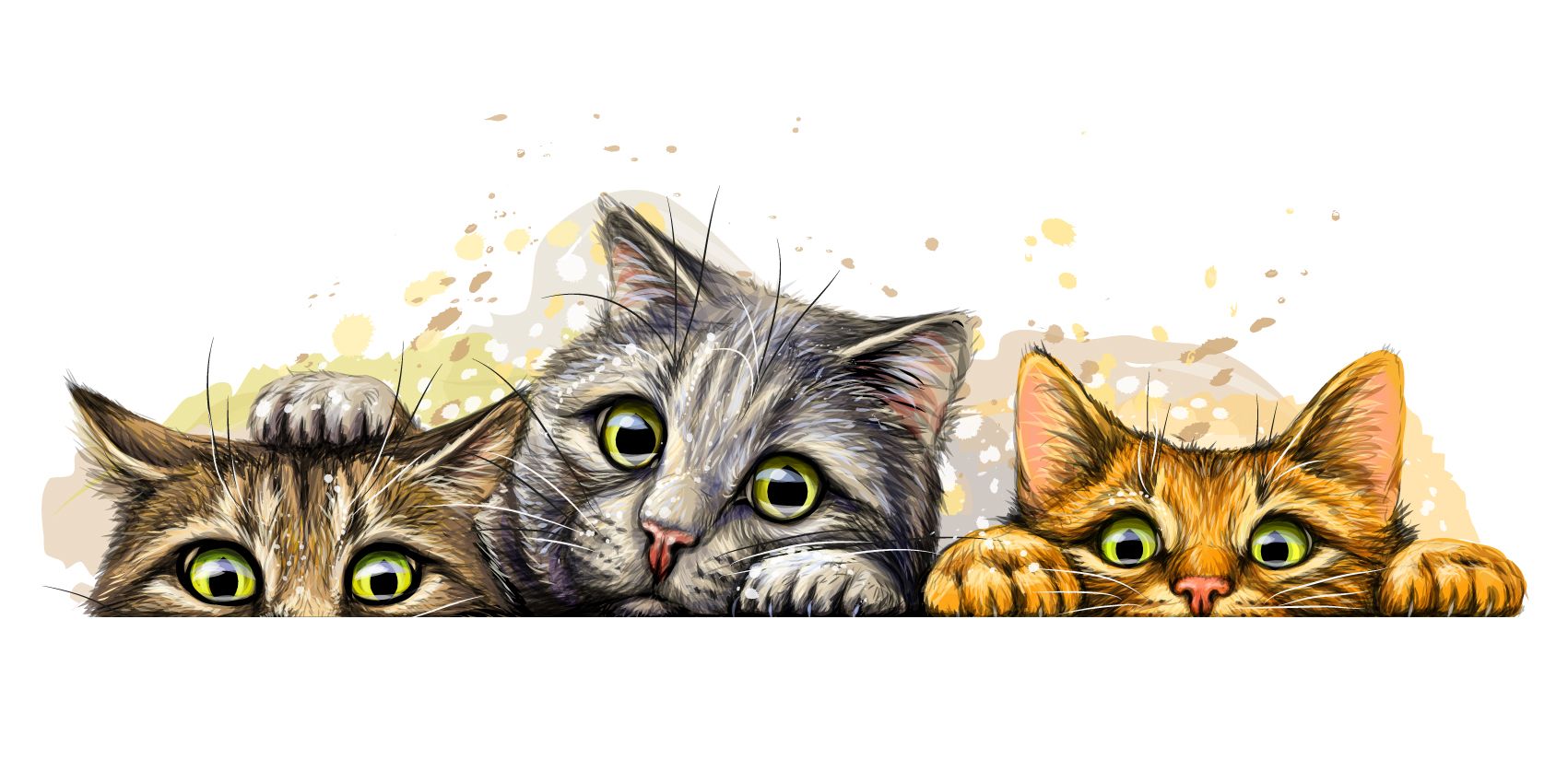 Cat Wallpaper Vector Art Icons and Graphics for Free Download
