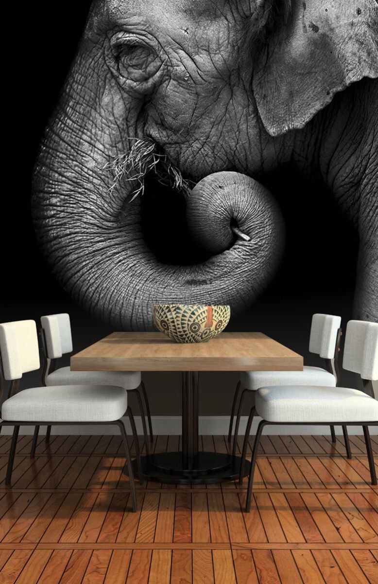 Elephant portrait - Wallpaper Elephant portrait - Wallpaper