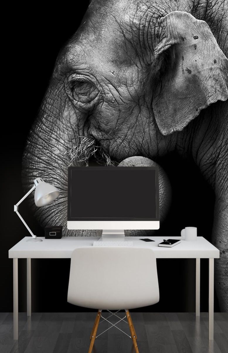 Elephant portrait - Wallpaper Elephant portrait - Wallpaper