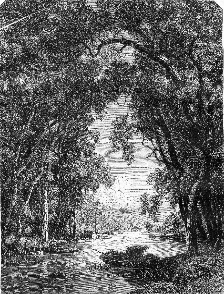 Old river in jungle