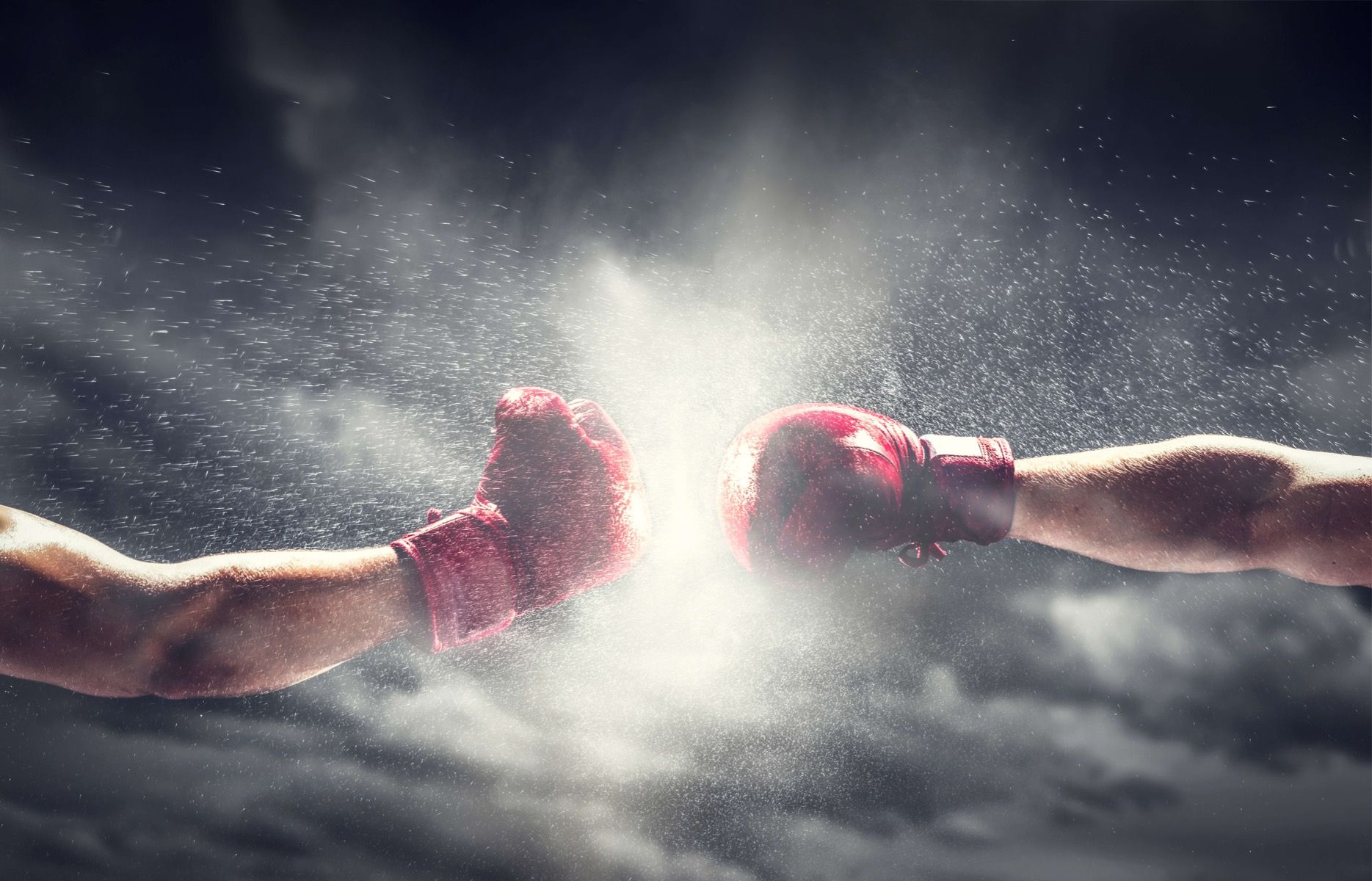 Two boxers