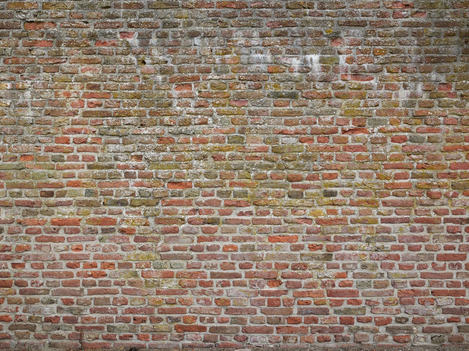 Characteristic city wall