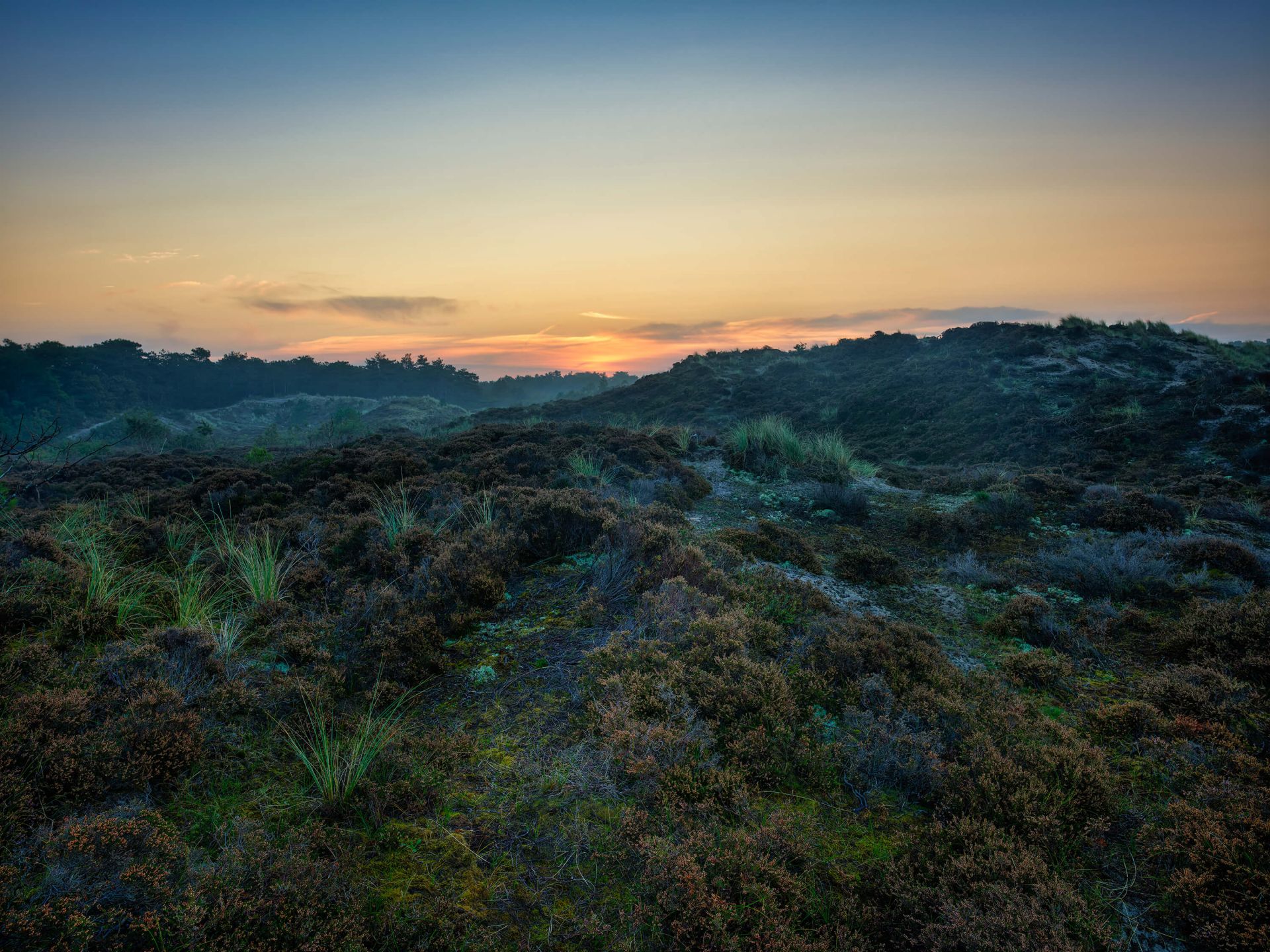 Heuvelachtig heidegebied