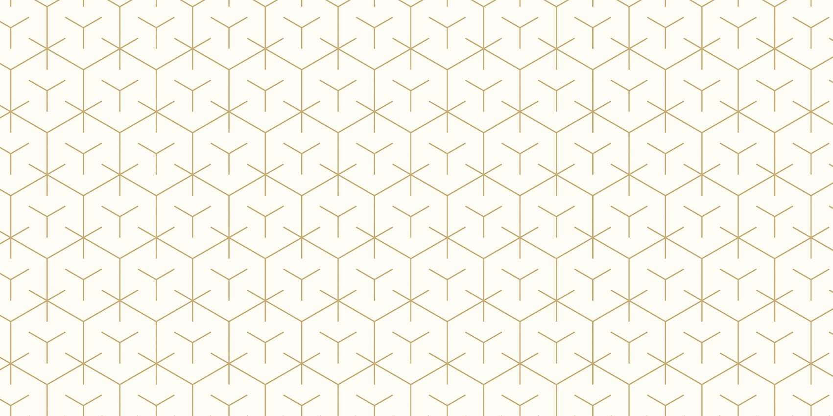 Geometric hexagons, white