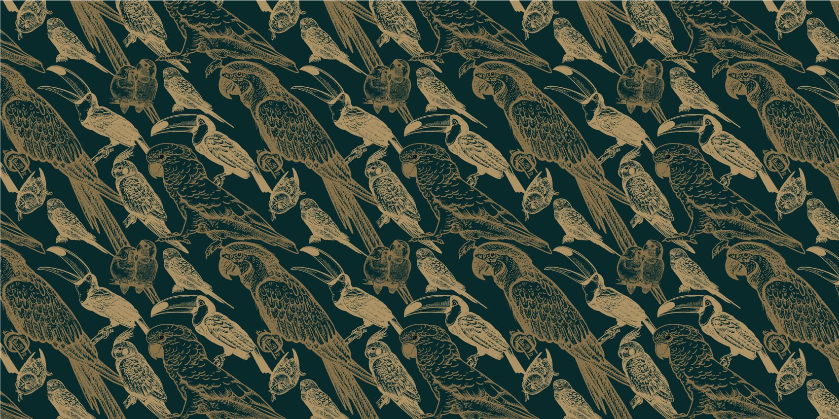 Parrot and Toucan pattern