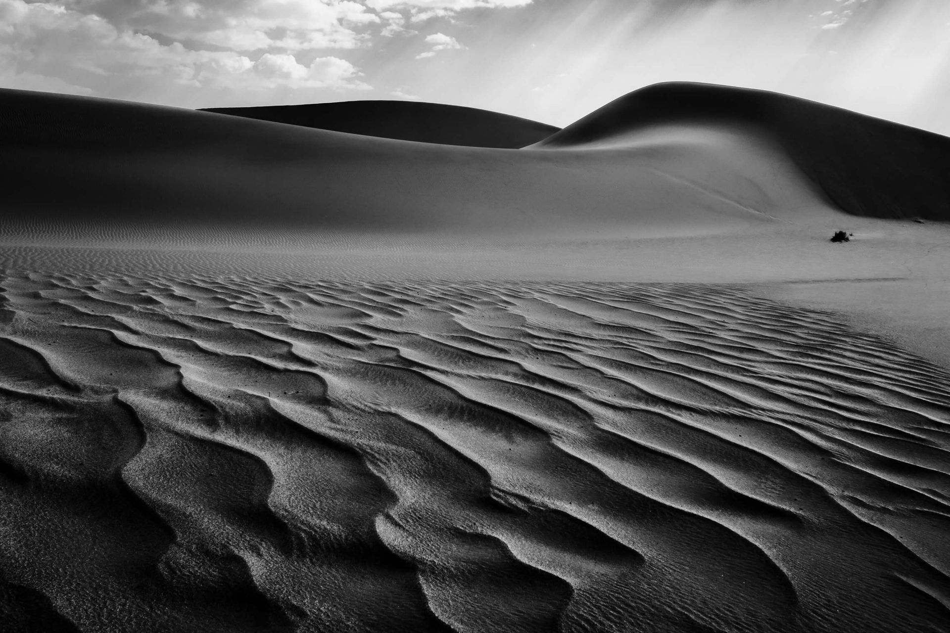 The Living Dunes, Namibia I main product photo