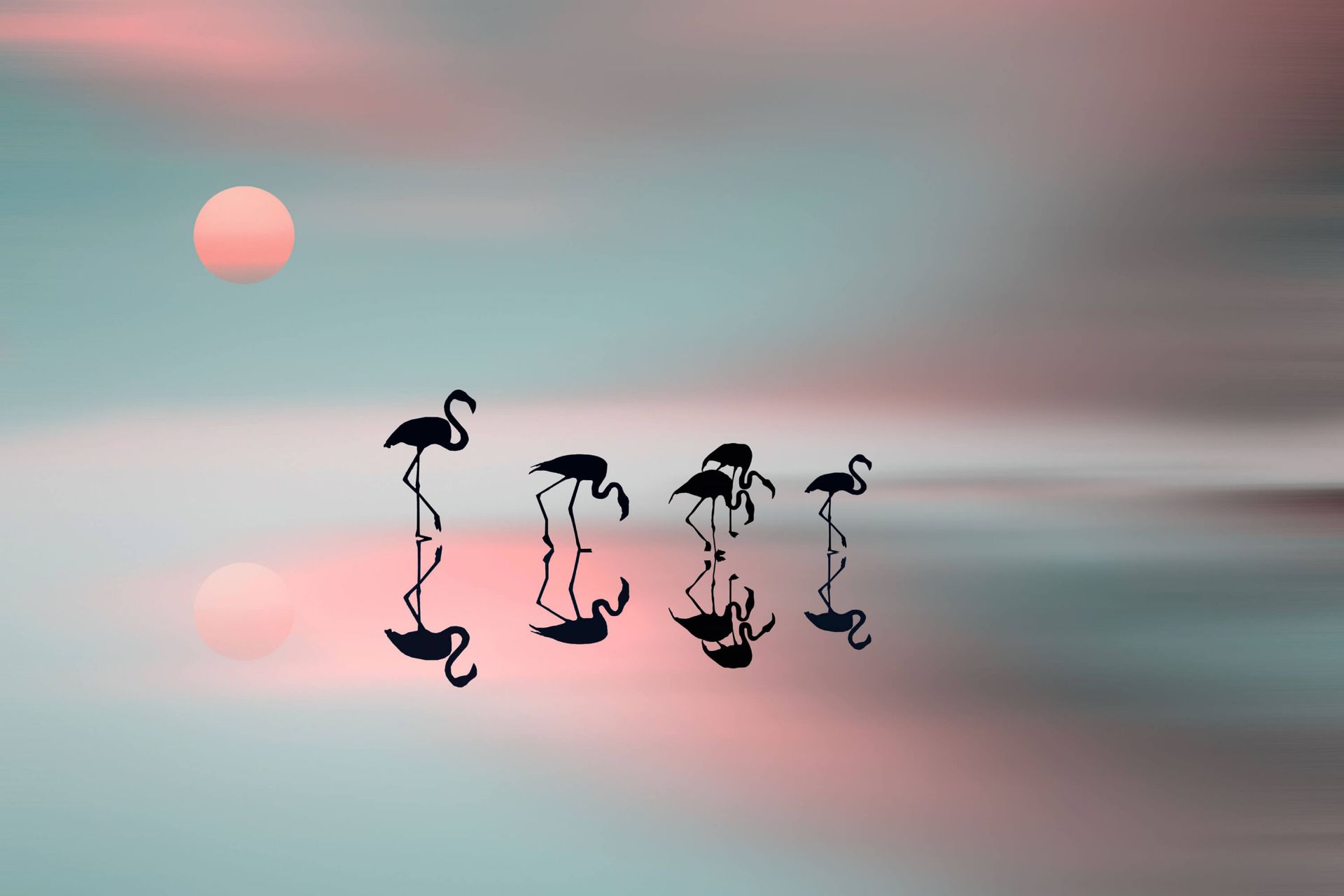 Family flamingos main product photo