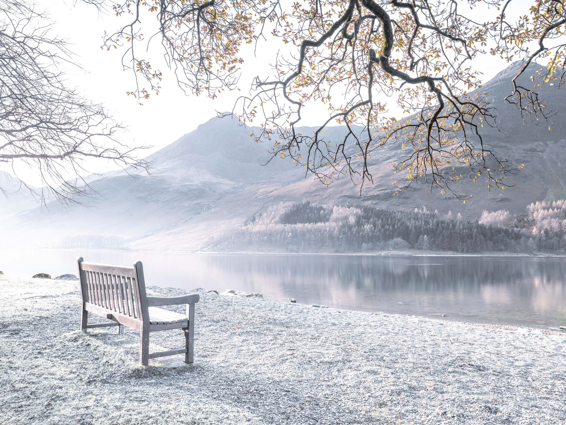 Bench by a quiet lake main product photo